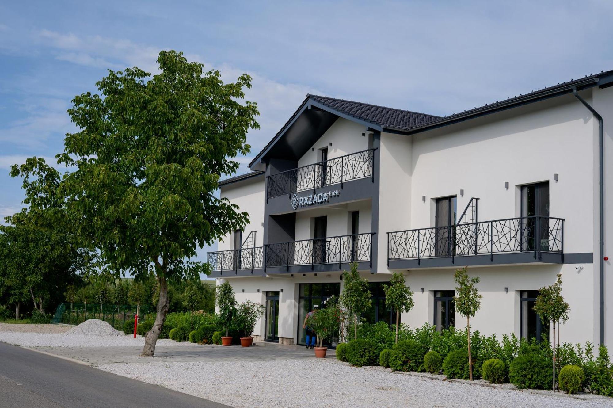 Pensiunea Razada Lugoj Exterior foto